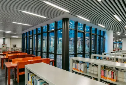 カジノ ライオン ウィンズ モバイルアプリ